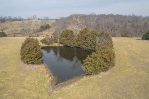 21.67 Acres Cassville Land
