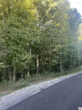 Waterfront Lots with Wooded Acreage