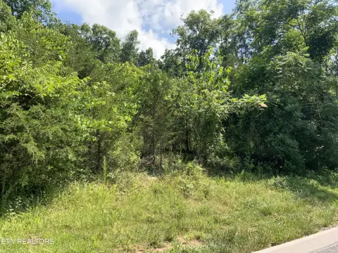 Land Near Norris Lake