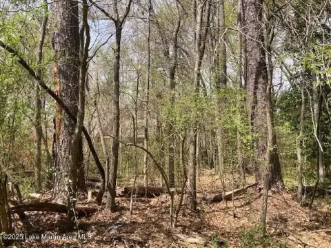 Residential Land in Alexander City