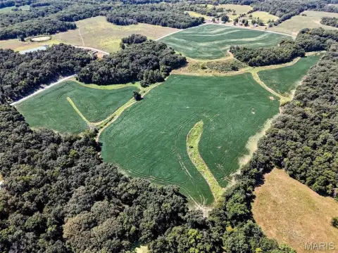 Marion County Income-Producing Hunting Farm