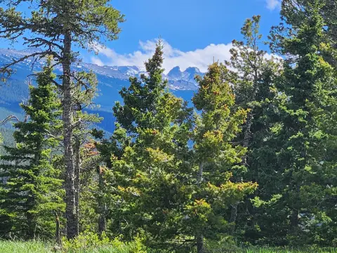Mountain-View Cabin Lot with Creek Access