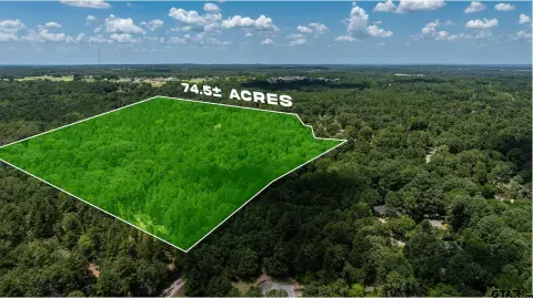 Wooded Hunting Land