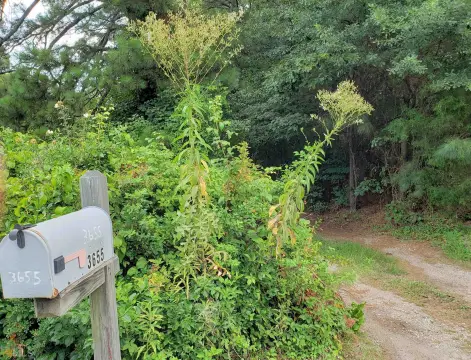 South Fulton Land Opportunity