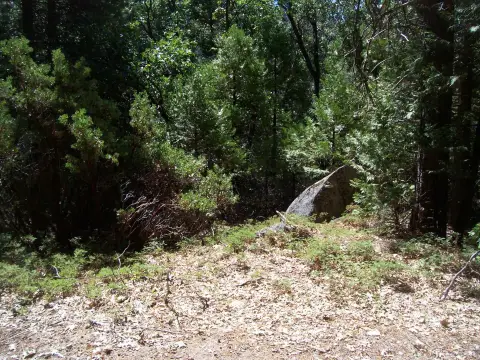 Land in Cedar Slope, CA