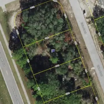 Vacant Land in Poinciana, Florida
