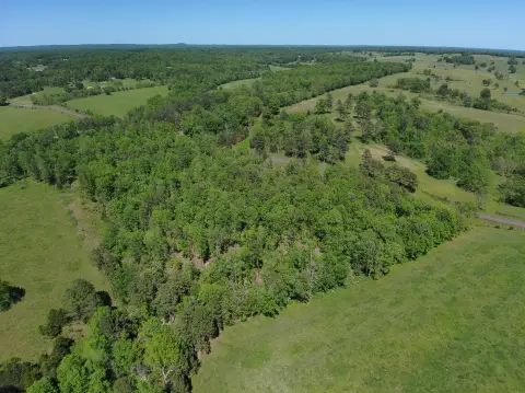 Wooded Land Near Mark Twain