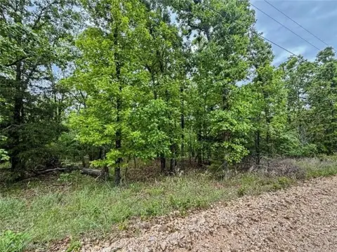 Land Near Lake Tenkiller