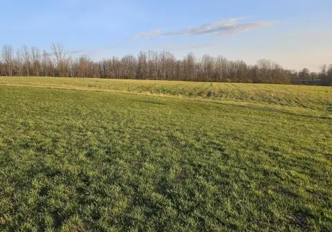 Lexington Land For Sale