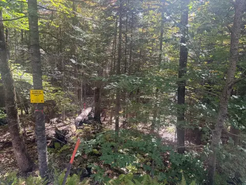 Wooded Recreational Land