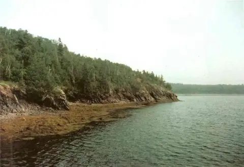 Waterfront Land Parcel