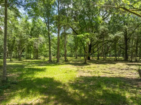 Picturesque Land with Majestic Oaks