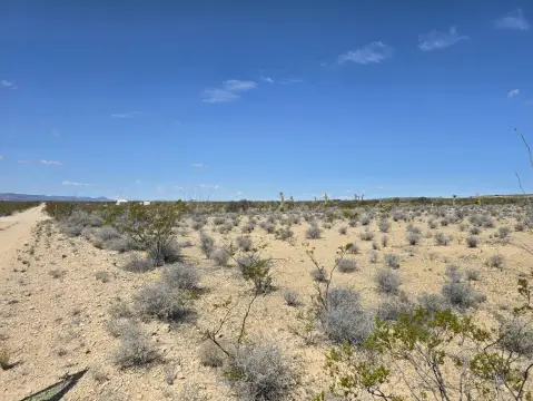 20 Acres Vacant Land Terlingua