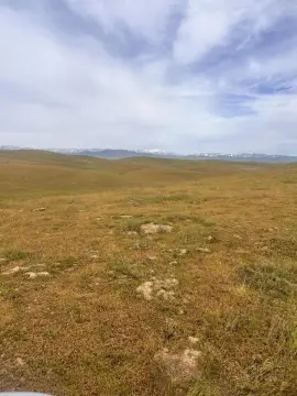 10 Acres in McFarland, CA