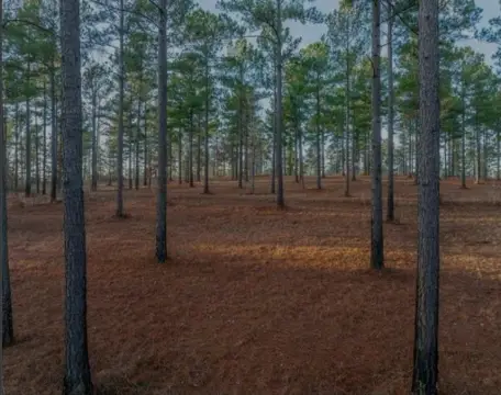 Equestrian Lot in Overlook