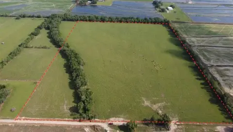 Vacant Land in Iota, LA