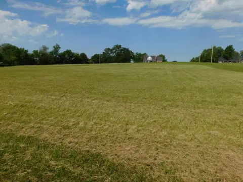 Residential Land in Blue Ridge