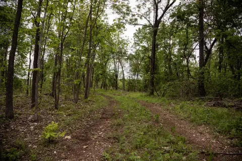 Land with Highway Frontage