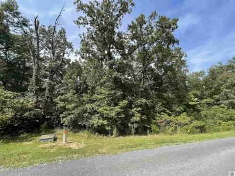 Residential Lot in Lake Area