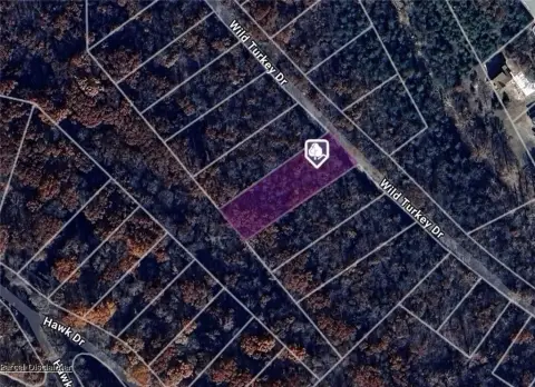 Wooded Lot in Holiday Island