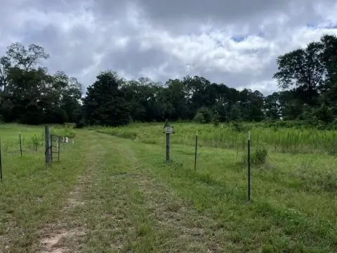 Timber Hunting Land