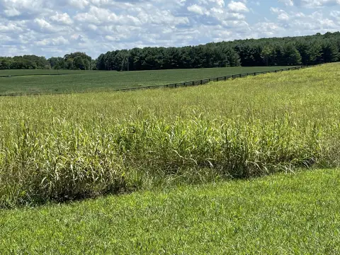 Lake Cumberland Land Opportunity