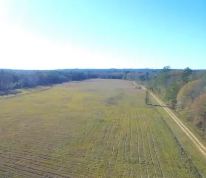 Ellisville Commercial Land For Sale