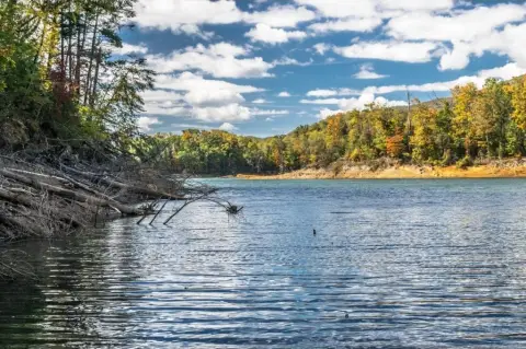Watauga Lake 100-Acre Land