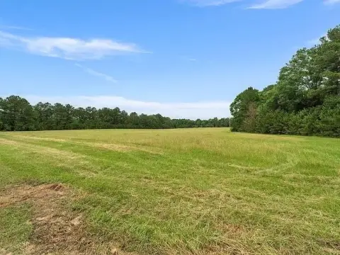 Lumberton Land with Pasture and Timber