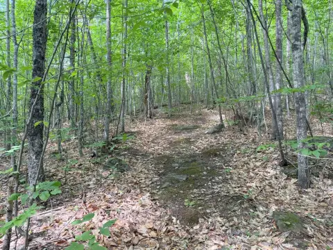 Recreational Hunting Land