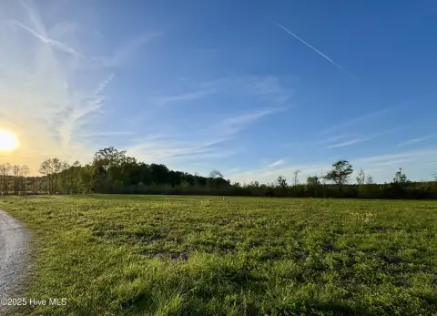 Cleared Land Near Highway 17