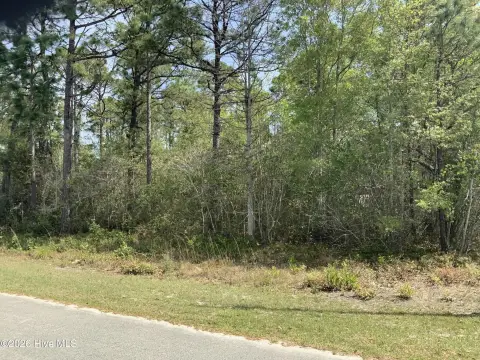 Shallotte Land Opportunity