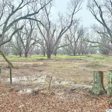 Agricultural Land with Homesite Potential