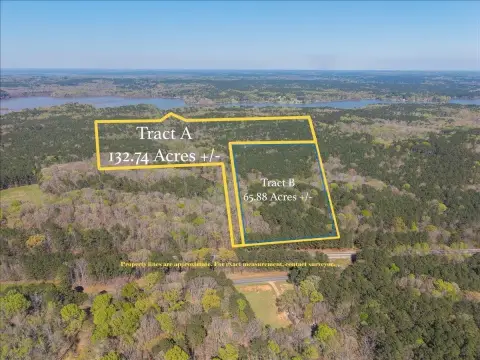 198 Acres of Pristine Land