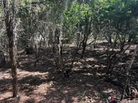 Residential Land in Spring Branch