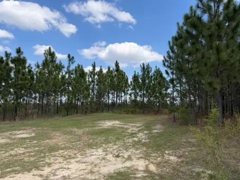 Hunting Land Tract with Streamside Timber