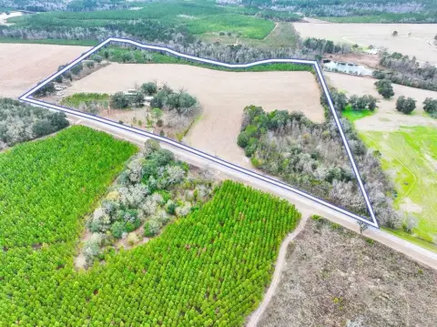 Bainbridge Acreage Near Lake Seminole
