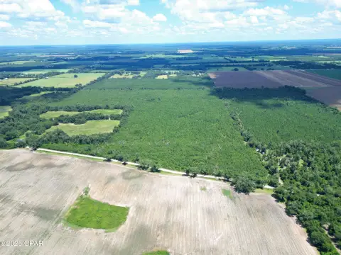 Timberland Hunting Property