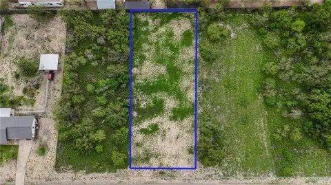 Penitas, TX Land Opportunity
