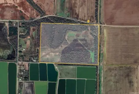 Paragould Acreage with Timber