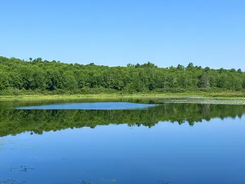 Waterfront Land with Road Frontage