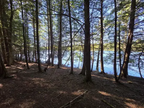 Waterfront Land with Dock