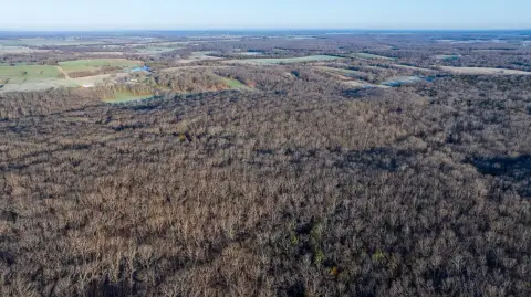 Hickory County Hunting and Recreational Land