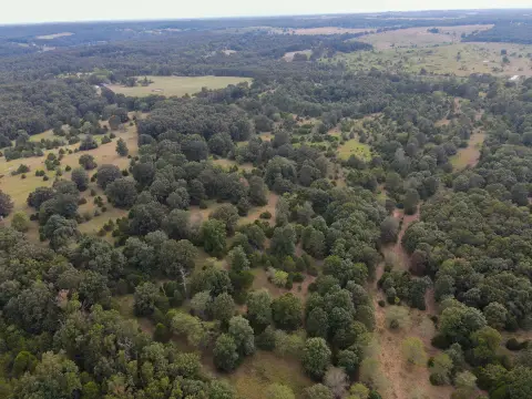 Ozark Land for Agricultural Use