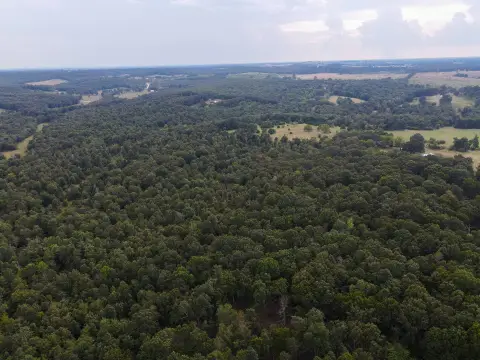 Ozark Land Ideal for Farming
