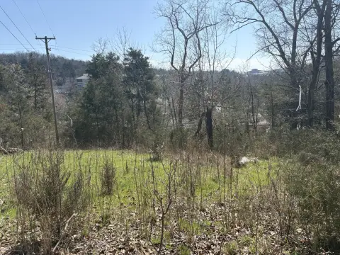 Branson, MO Building Lot