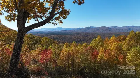 Picturesque Mountain View Homesite