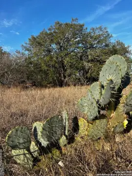 Corner Lot in Poteet, Texas