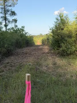 Sandy Hook Land For Sale