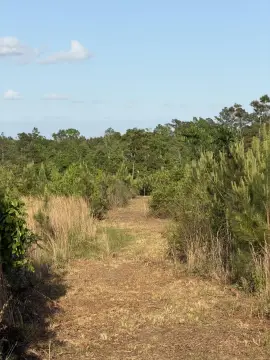 5 Acres in Sandy Hook